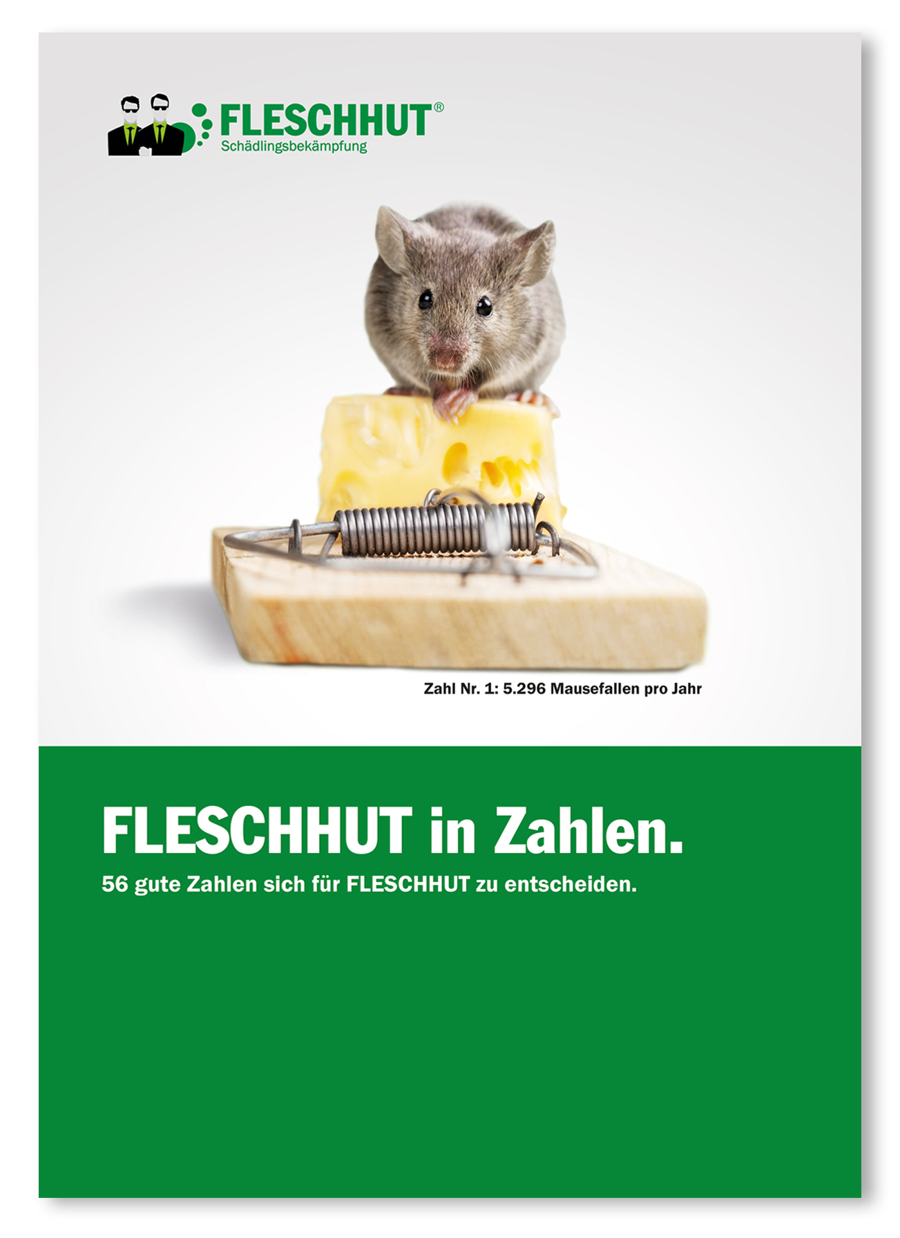 Fleschhut-in-Zahlen_Cover_Schatten